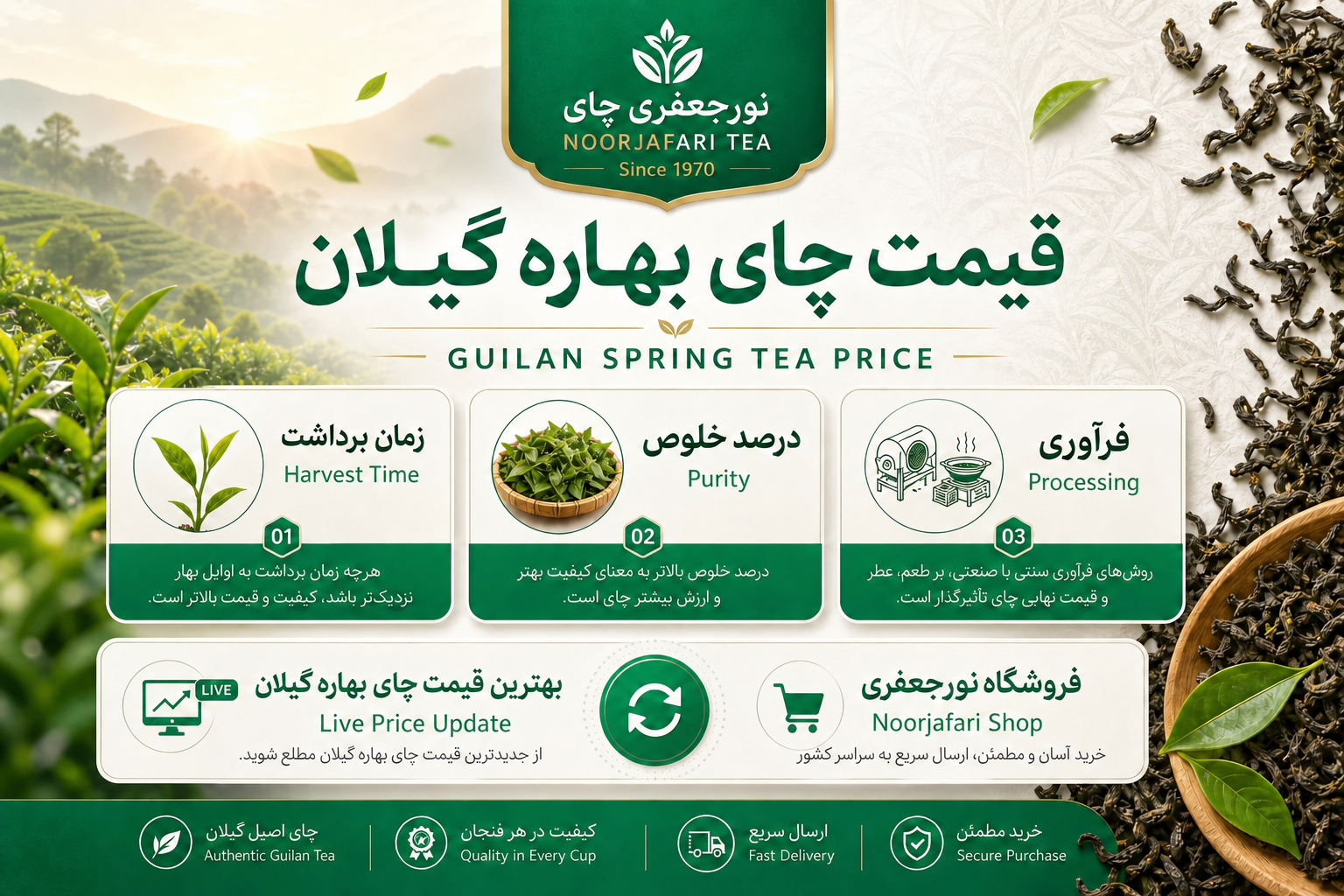 قیمت چای بهاره گیلان